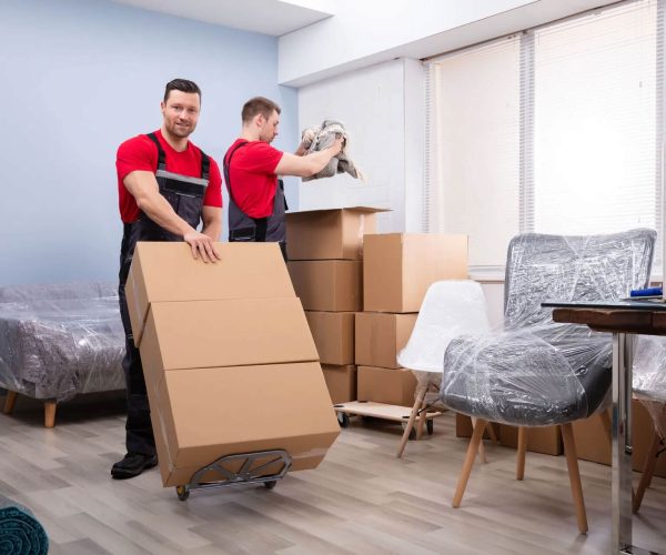 Перевозка вещей