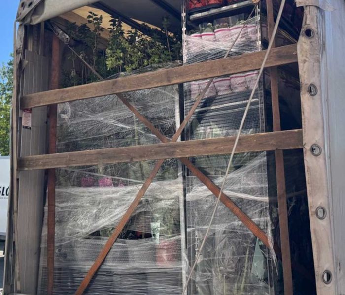 Переезд на дачу